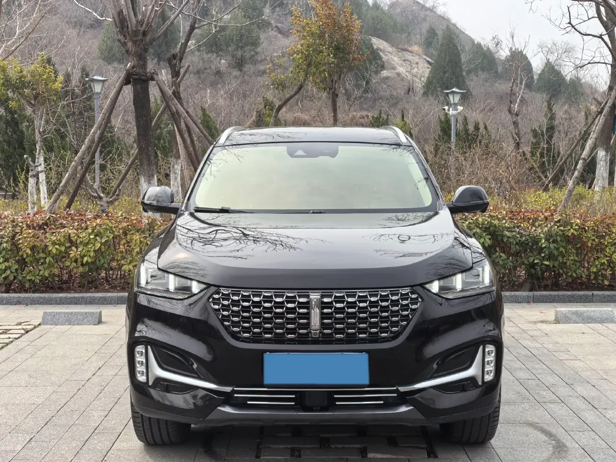2020 WEY VV6 2.0T 227HP L4 7DCT,autocango,china used car exporter,china ev exporter,chinese used car exporter,chinese used ev exporter