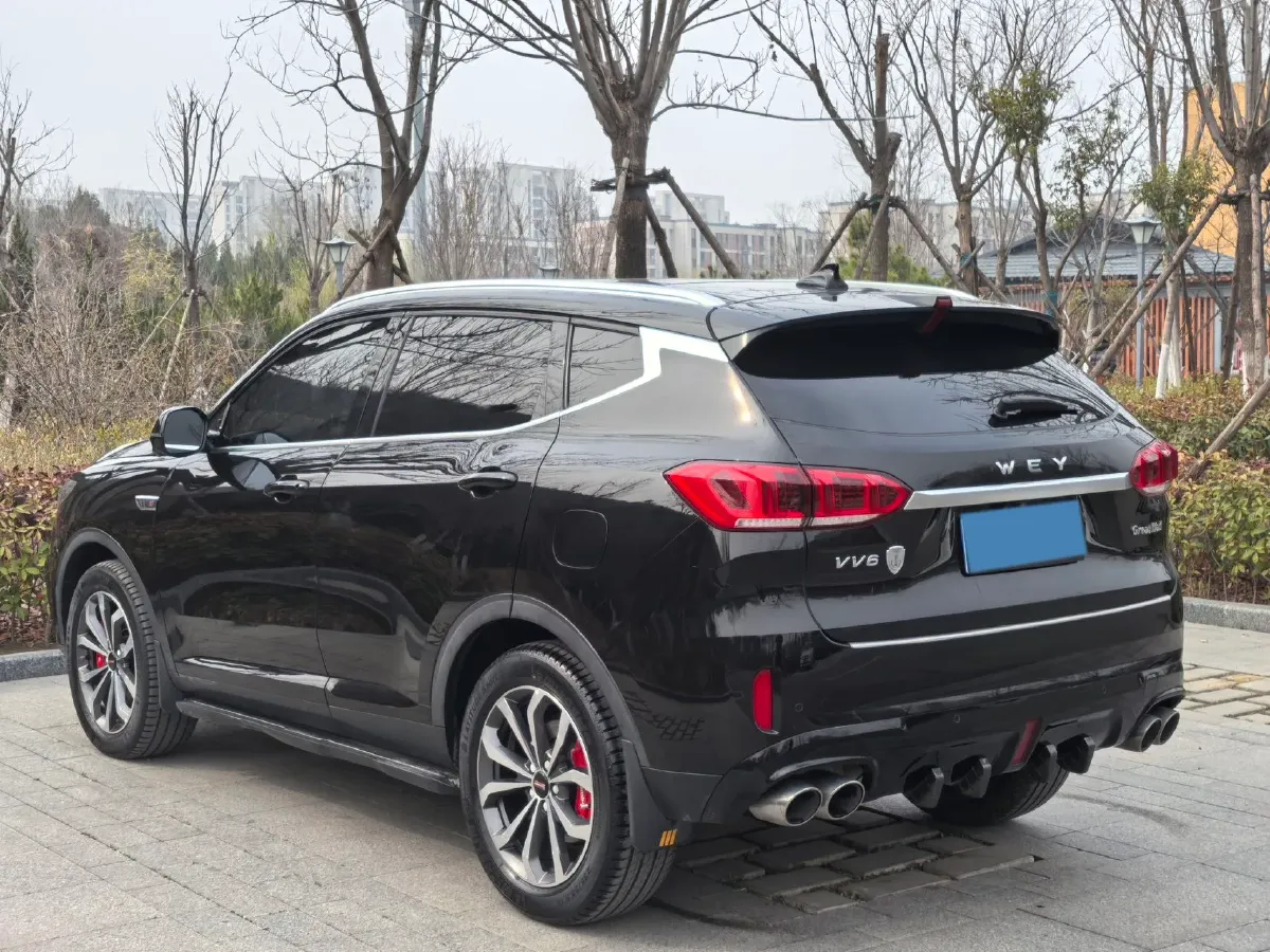 2020 WEY VV6 2.0T 227HP L4 7DCT,autocango,china used car exporter,china ev exporter,chinese used car exporter,chinese used ev exporter