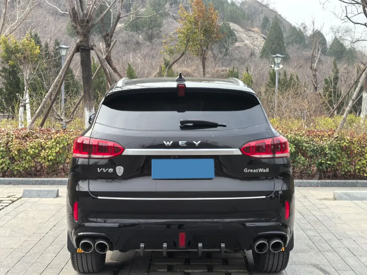 2020 WEY VV6 2.0T 227HP L4 7DCT,autocango,china used car exporter,china ev exporter,chinese used car exporter,chinese used ev exporter
