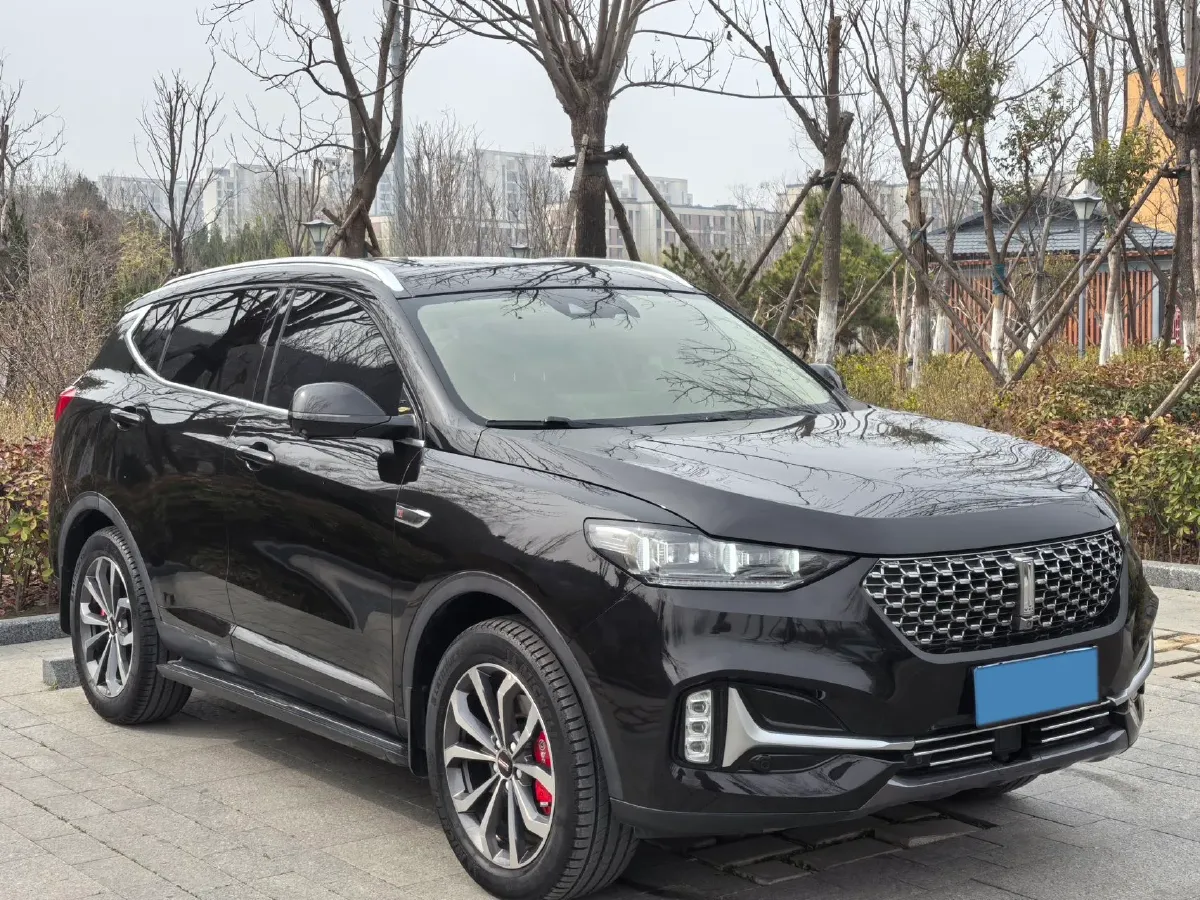 2020 WEY VV6 2.0T 227HP L4 7DCT,autocango,china used car exporter,china ev exporter,chinese used car exporter,chinese used ev exporter