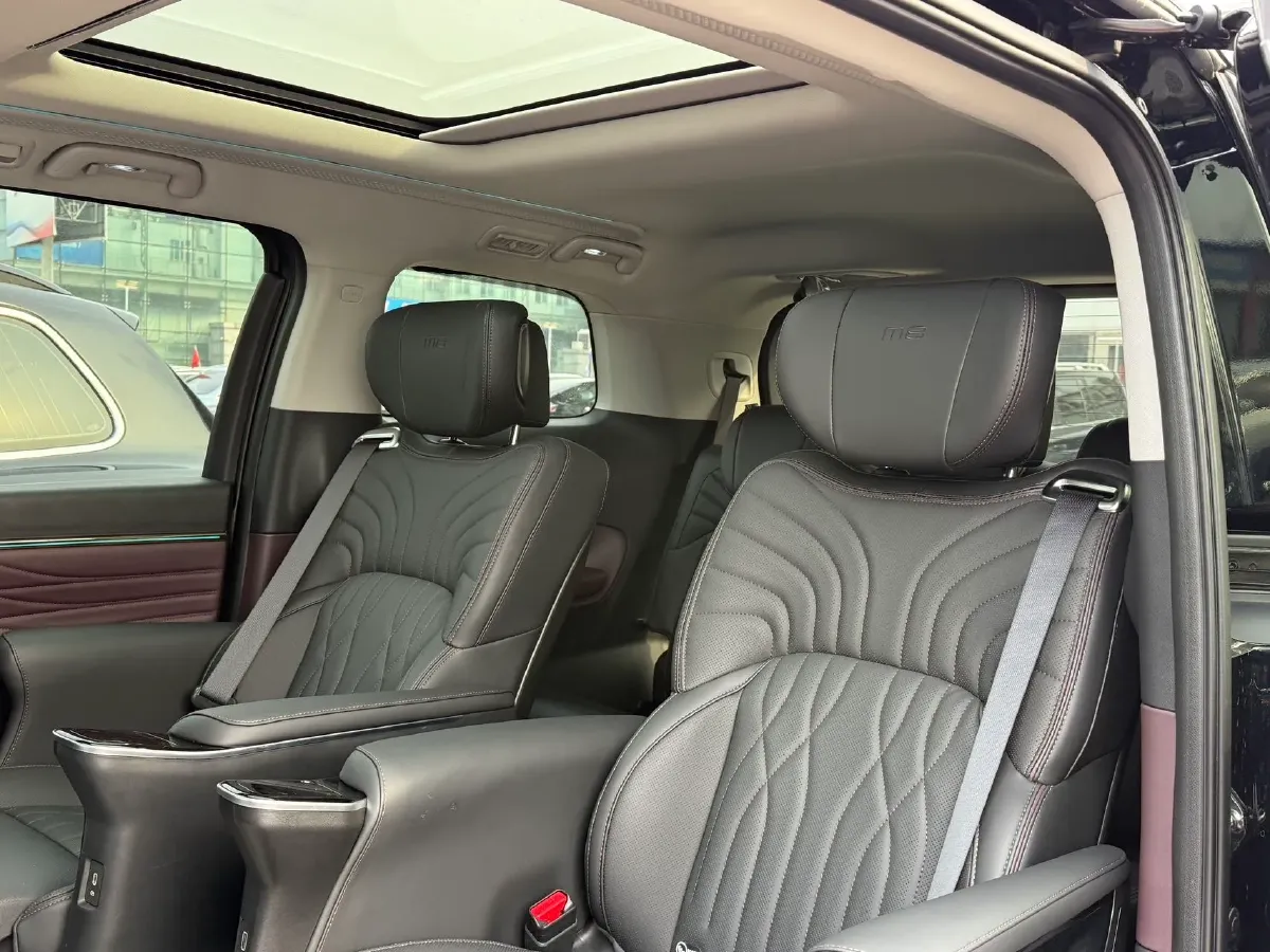 2024 GAC Trumpchi M8 2.0T 252HP L4 8AT,autocango,china used car exporter,china ev exporter,chinese used car exporter,chinese used ev exporter