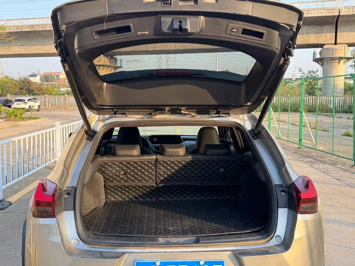 2020 Lexus UX 2.0L 146HP L4 E-CVT Hybrid,autocango,china used car exporter,china ev exporter,chinese used car exporter,chinese used ev exporter