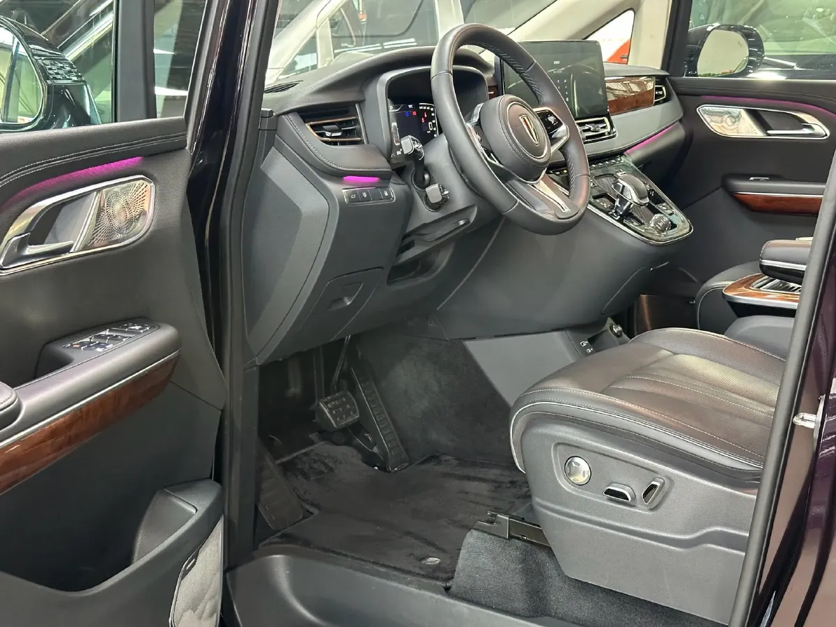 2024 HongQi HQ9 2.0T 163HP L4 1DHT PHEV 20.14KWH,autocango,china used car exporter,china ev exporter,chinese used car exporter,chinese used ev exporter