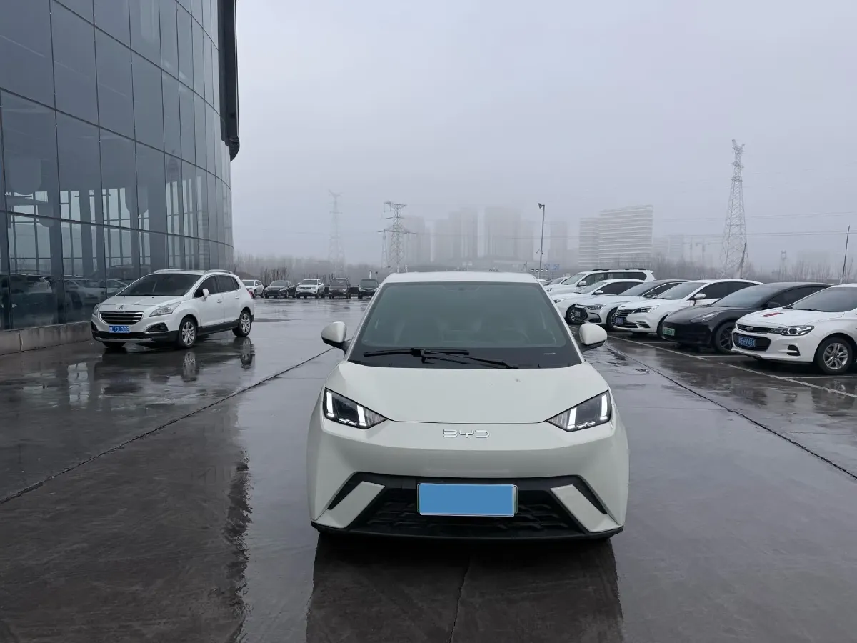 2024 BYD Seagull BEV 30.08KWH,autocango,china used car exporter,china ev exporter,chinese used car exporter,chinese used ev exporter