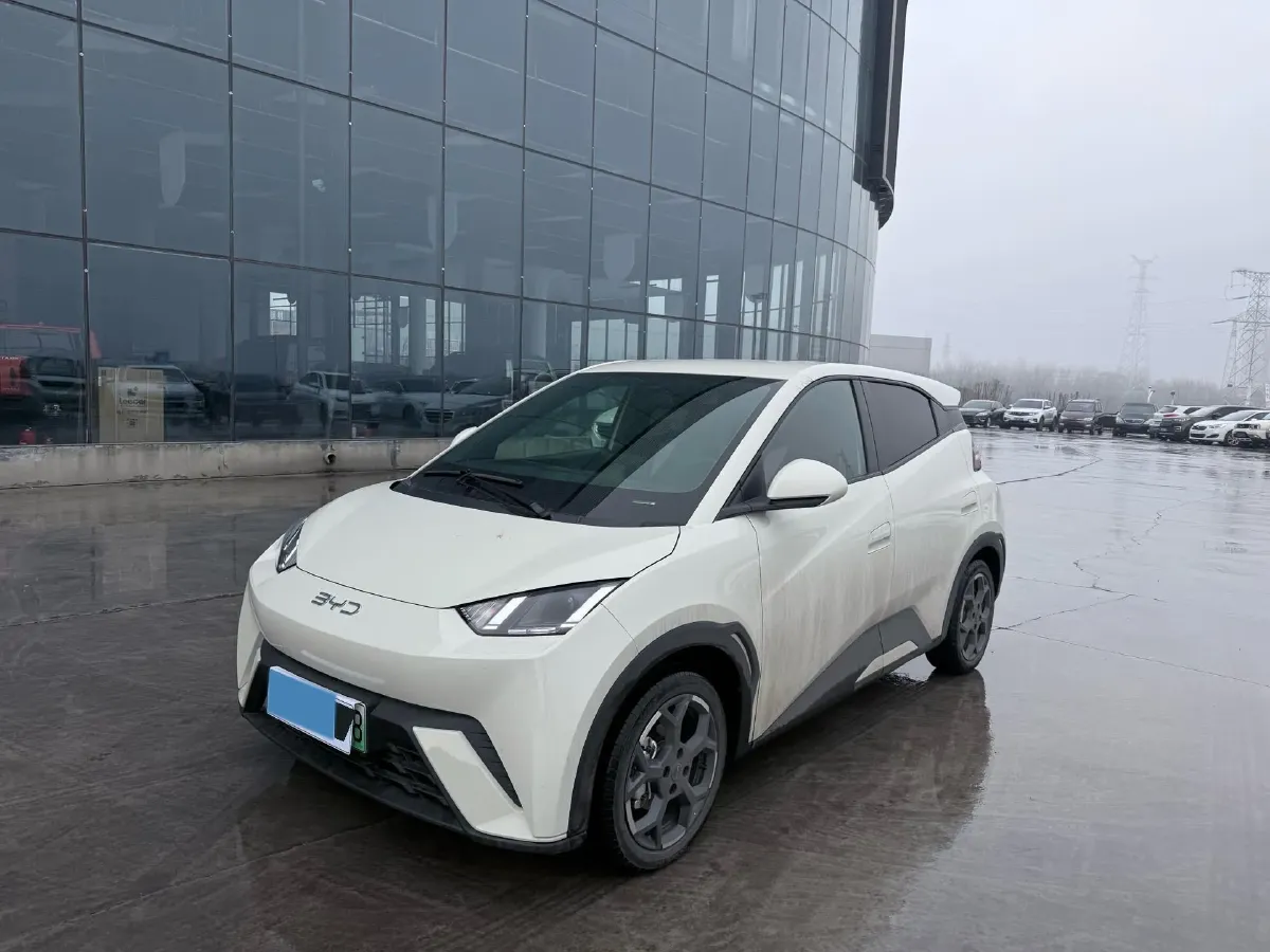 2024 BYD Seagull BEV 30.08KWH,autocango,china used car exporter,china ev exporter,chinese used car exporter,chinese used ev exporter