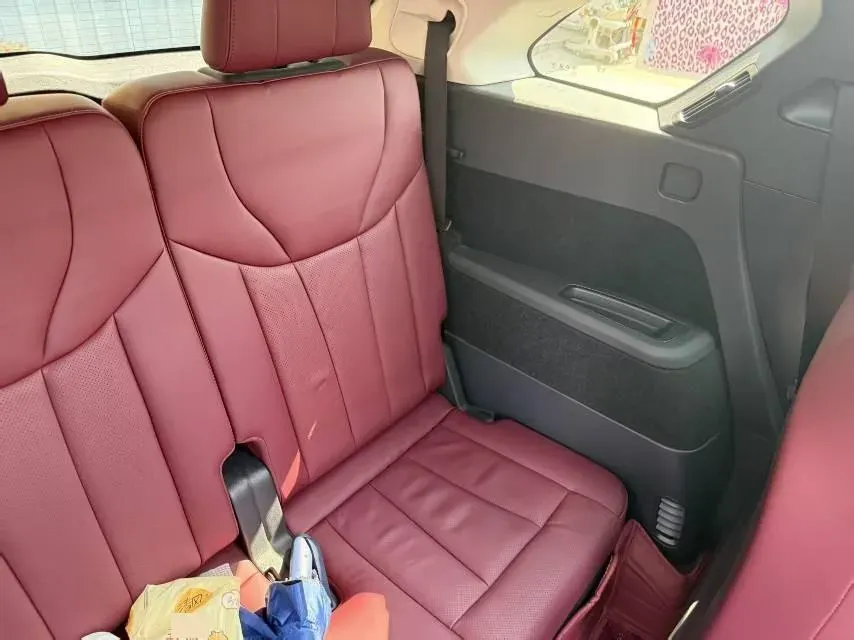 2022 HongQi E-HS9 BEV 120KWH,autocango,china used car exporter,china ev exporter,chinese used car exporter,chinese used ev exporter