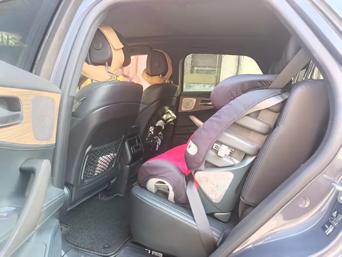 2020 Denza X 2.0T 192HP L4 6DCT PHEV 24KWH,autocango,china used car exporter,china ev exporter,chinese used car exporter,chinese used ev exporter