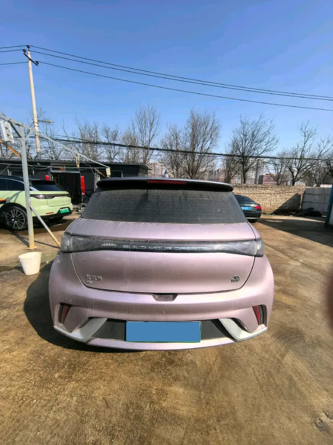 2021 BYD Yuan Pro BEV 50.1KWH,autocango,china used car exporter,china ev exporter,chinese used car exporter,chinese used ev exporter