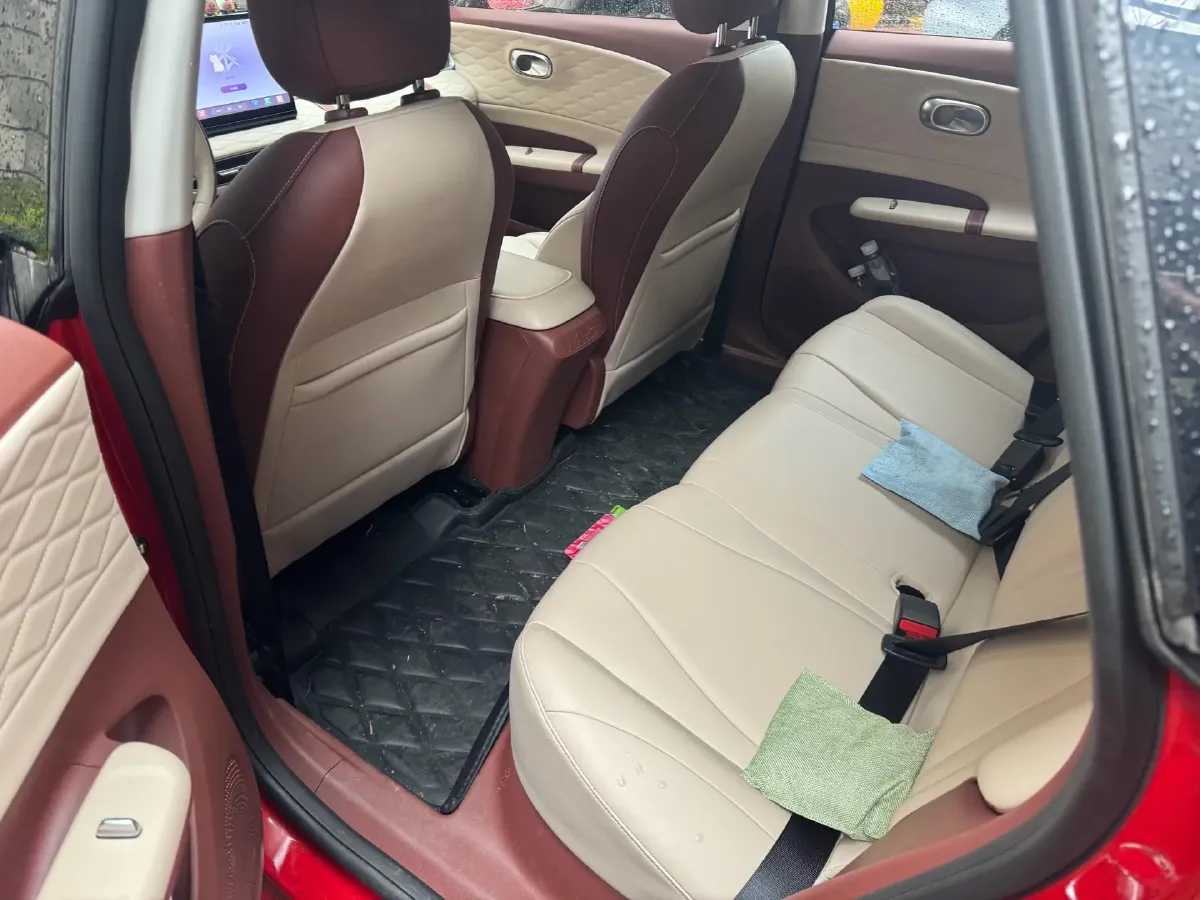 2024 DongFeng eπ 01 BEV 31.45KWH,autocango,china used car exporter,china ev exporter,chinese used car exporter,chinese used ev exporter