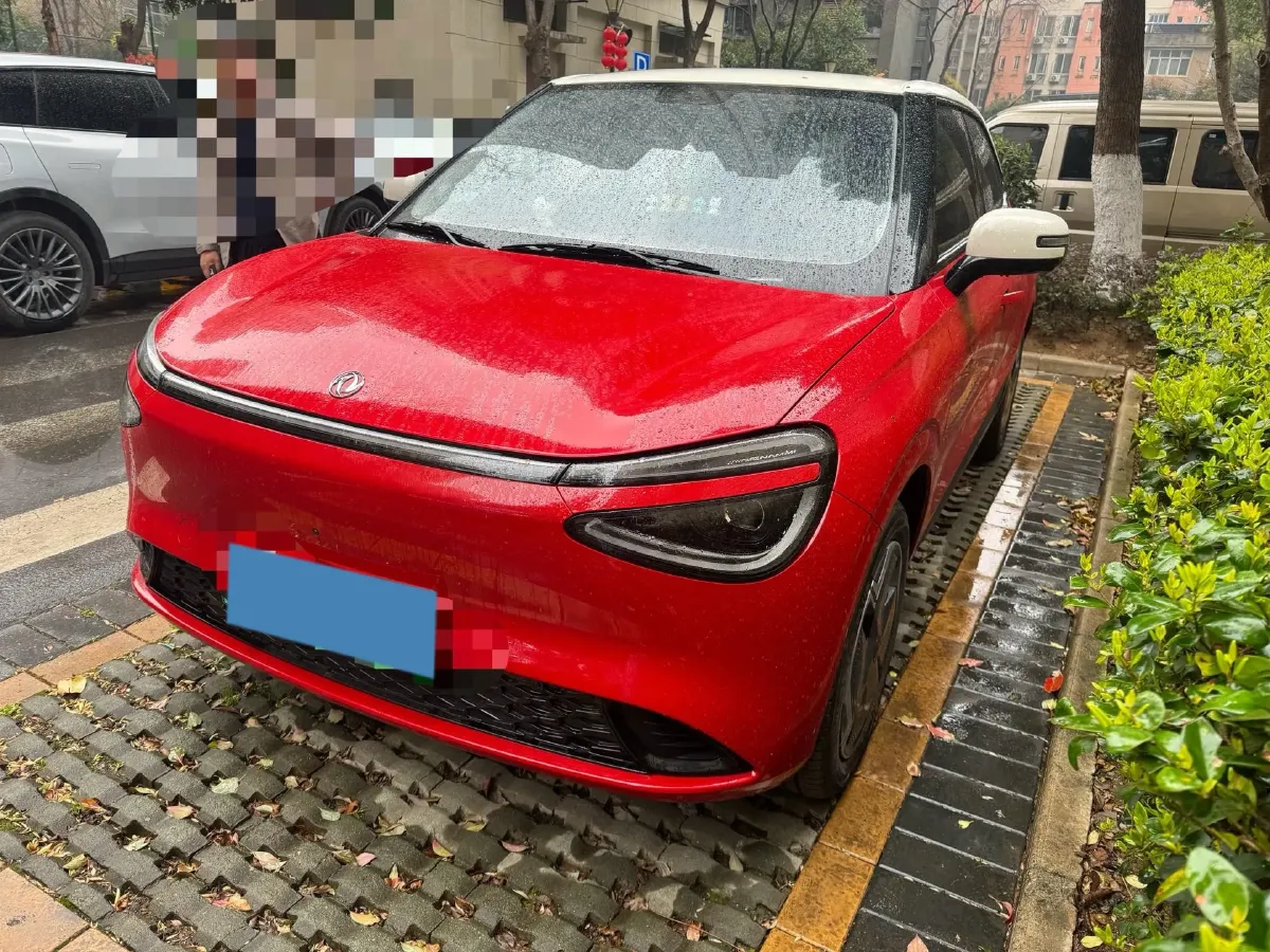 2024 DongFeng eπ 01 BEV 31.45KWH,autocango,china used car exporter,china ev exporter,chinese used car exporter,chinese used ev exporter