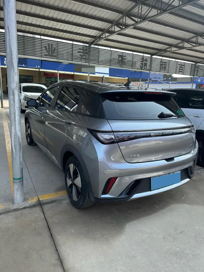 2023 BYD Dolphin BEV 44.928KWH,autocango,china used car exporter,china ev exporter,chinese used car exporter,chinese used ev exporter