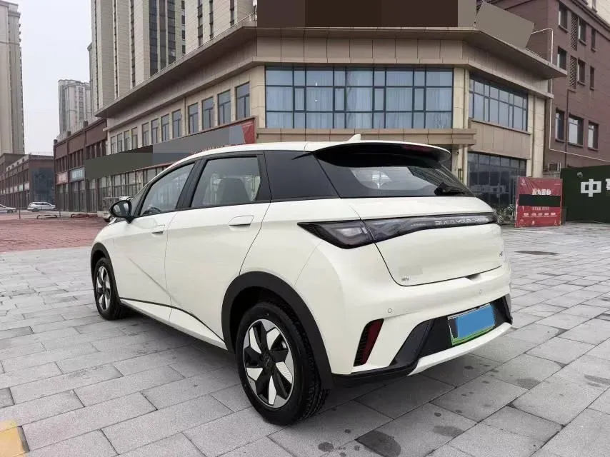 2025 BYD Dolphin BEV 44.928KWH,autocango,china used car exporter,china ev exporter,chinese used car exporter,chinese used ev exporter