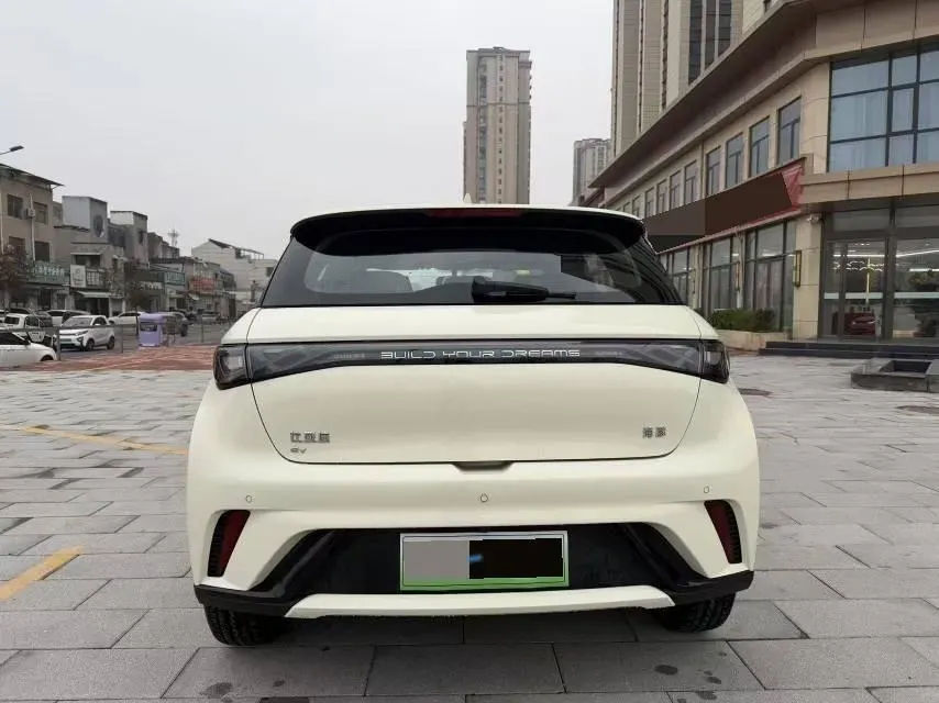 2025 BYD Dolphin BEV 44.928KWH,autocango,china used car exporter,china ev exporter,chinese used car exporter,chinese used ev exporter