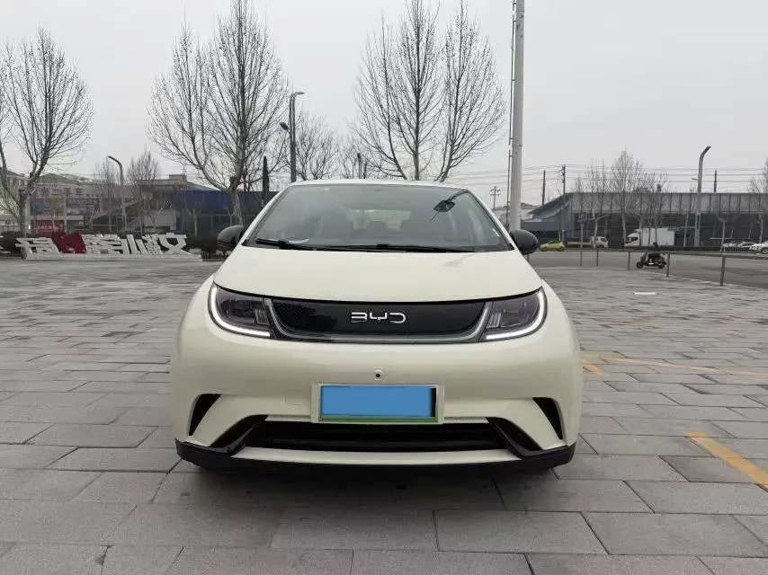 2025 BYD Dolphin BEV 44.928KWH,autocango,china used car exporter,china ev exporter,chinese used car exporter,chinese used ev exporter