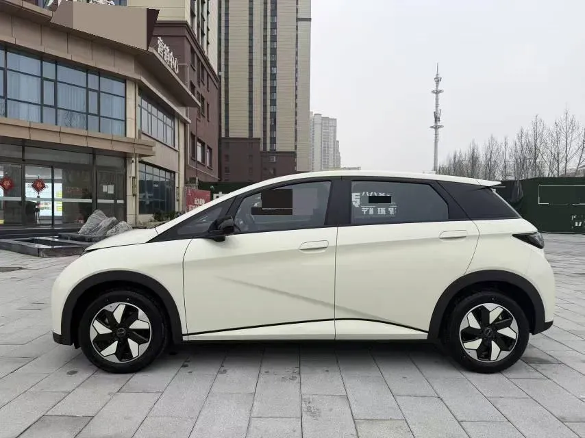 2025 BYD Dolphin BEV 44.928KWH,autocango,china used car exporter,china ev exporter,chinese used car exporter,chinese used ev exporter