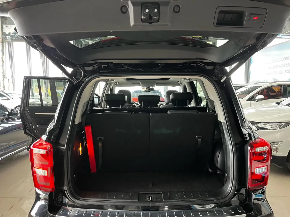 2019 GAC Trumpchi GS8 2.0T 252HP L4 6AT,autocango,china used car exporter,china ev exporter,chinese used car exporter,chinese used ev exporter