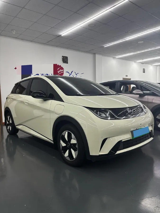 2025 BYD Dolphin BEV 44.928KWH,autocango,china used car exporter,china ev exporter,chinese used car exporter,chinese used ev exporter