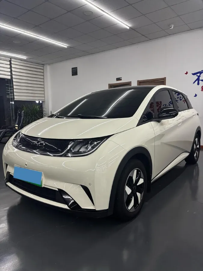 2025 BYD Dolphin BEV 44.928KWH,autocango,china used car exporter,china ev exporter,chinese used car exporter,chinese used ev exporter