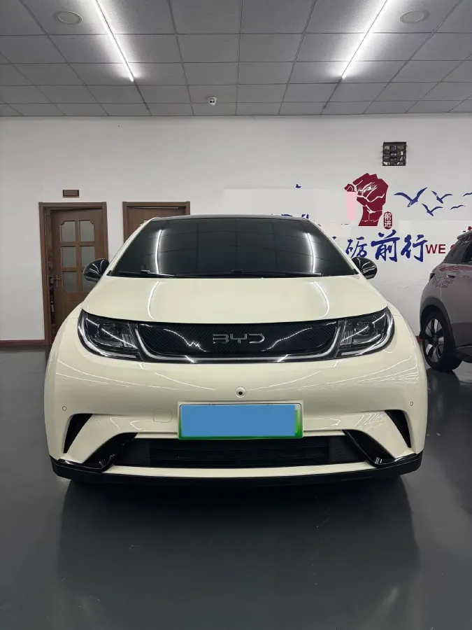 2025 BYD Dolphin BEV 44.928KWH,autocango,china used car exporter,china ev exporter,chinese used car exporter,chinese used ev exporter