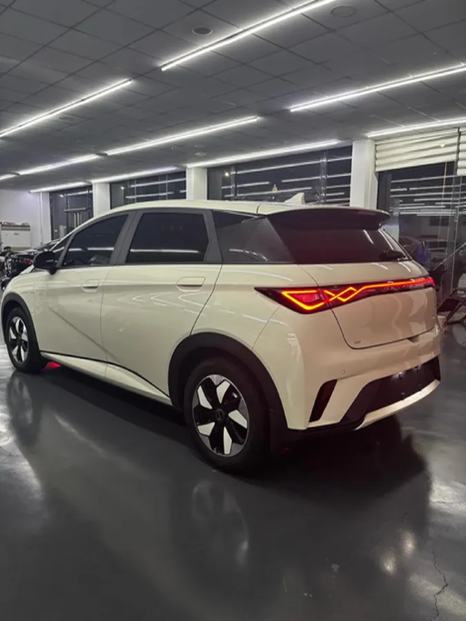 2025 BYD Dolphin BEV 44.928KWH,autocango,china used car exporter,china ev exporter,chinese used car exporter,chinese used ev exporter