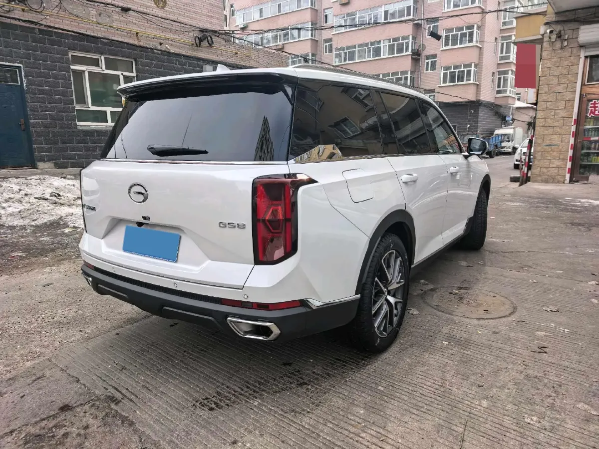 2025 GAC Trumpchi GS8 2.0T 252HP L4 8AT,autocango,china used car exporter,china ev exporter,chinese used car exporter,chinese used ev exporter