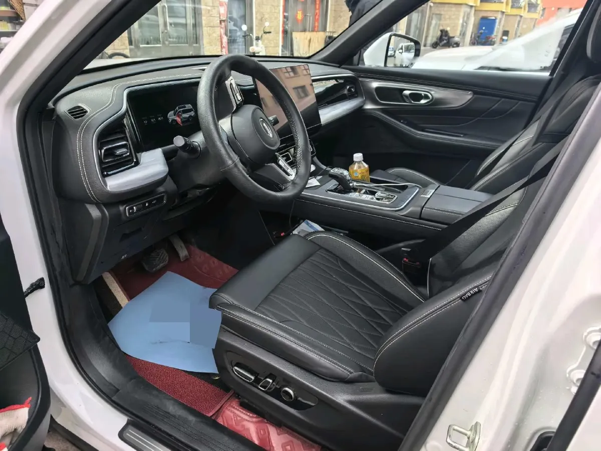 2025 GAC Trumpchi GS8 2.0T 252HP L4 8AT,autocango,china used car exporter,china ev exporter,chinese used car exporter,chinese used ev exporter