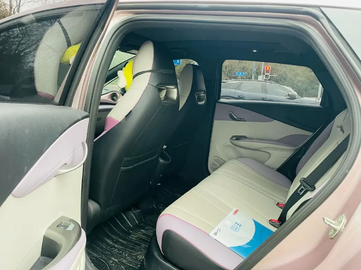 2023 BYD Dolphin BEV 44.928KWH,autocango,china used car exporter,china ev exporter,chinese used car exporter,chinese used ev exporter