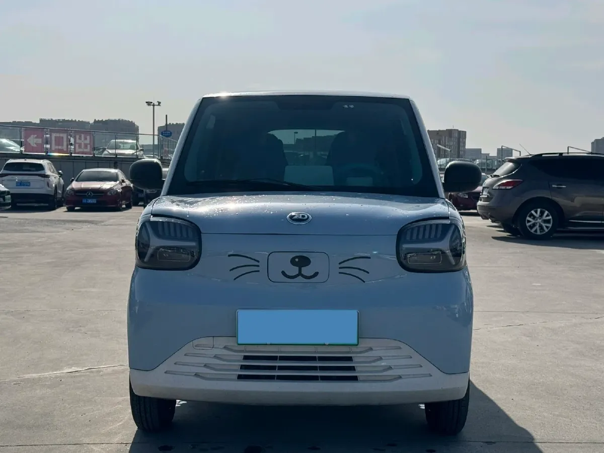 2024 ZD Rainbow BEV 17.3KWH,autocango,china used car exporter,china ev exporter,chinese used car exporter,chinese used ev exporter