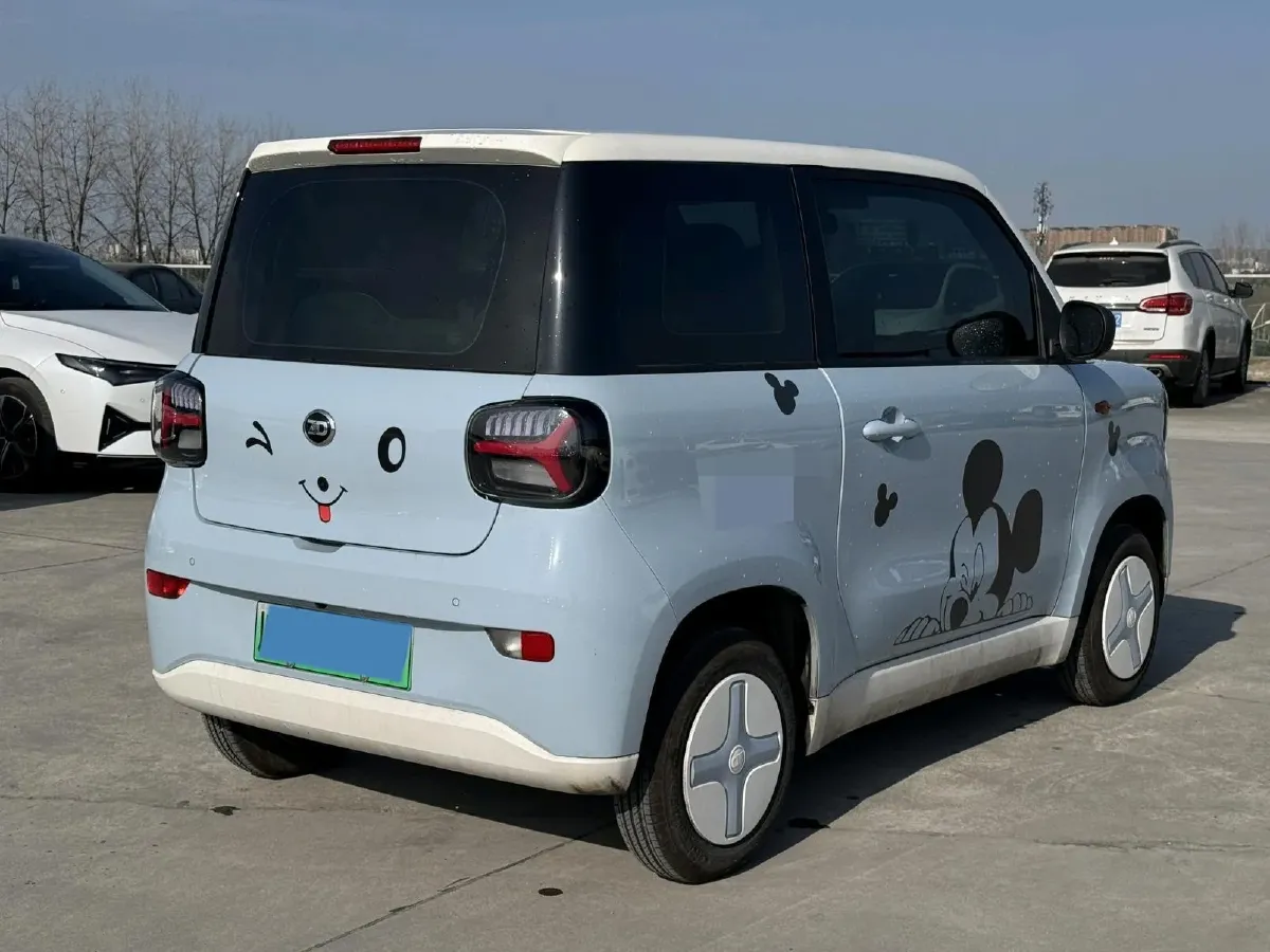 2024 ZD Rainbow BEV 17.3KWH,autocango,china used car exporter,china ev exporter,chinese used car exporter,chinese used ev exporter