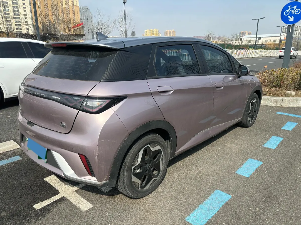 2021 BYD Dolphin BEV 44.9KWH,autocango,china used car exporter,china ev exporter,chinese used car exporter,chinese used ev exporter