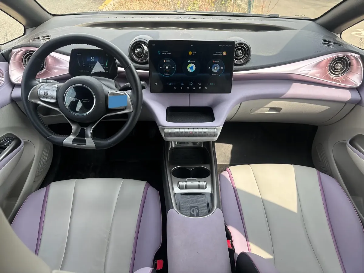 2021 BYD Dolphin BEV 44.9KWH,autocango,china used car exporter,china ev exporter,chinese used car exporter,chinese used ev exporter