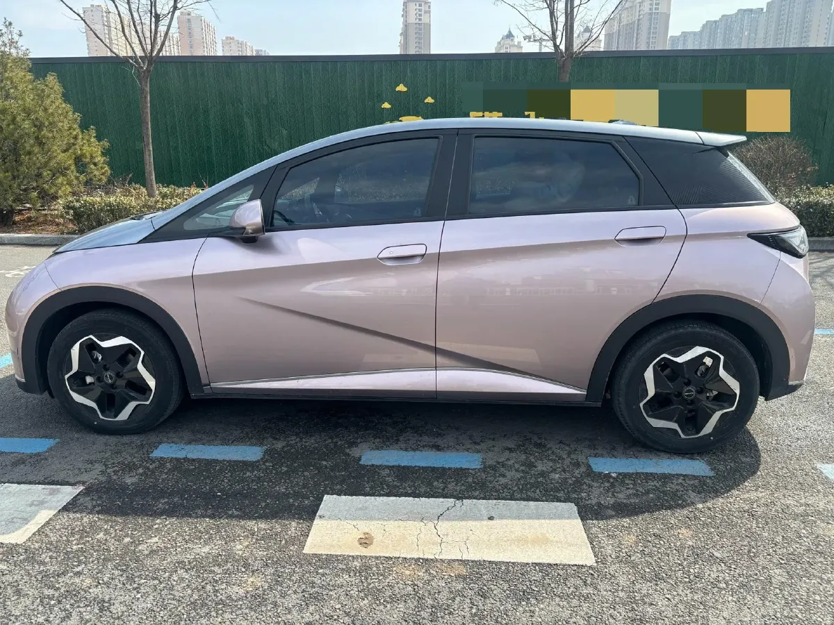 2021 BYD Dolphin BEV 44.9KWH,autocango,china used car exporter,china ev exporter,chinese used car exporter,chinese used ev exporter