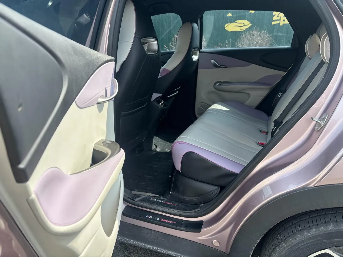 2021 BYD Dolphin BEV 44.9KWH,autocango,china used car exporter,china ev exporter,chinese used car exporter,chinese used ev exporter