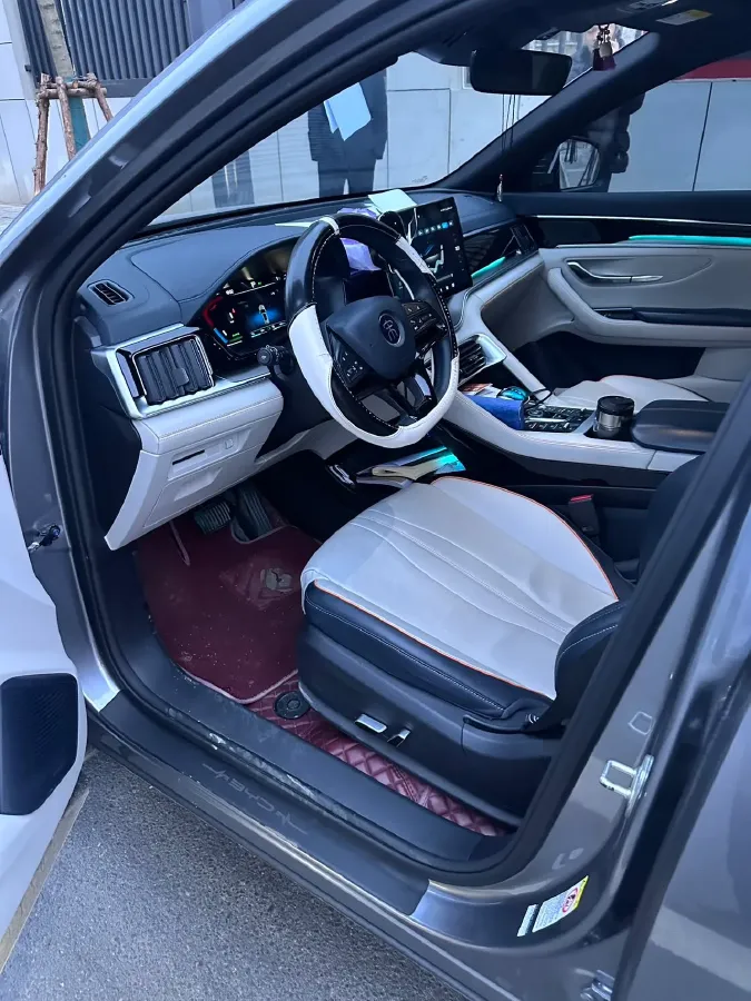 2021 BYD Qin BEV 53.56KWH,autocango,china used car exporter,china ev exporter,chinese used car exporter,chinese used ev exporter