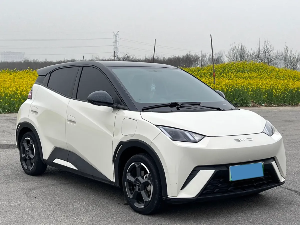 2023 BYD Seagull BEV 30.08KWH,autocango,china used car exporter,china ev exporter,chinese used car exporter,chinese used ev exporter