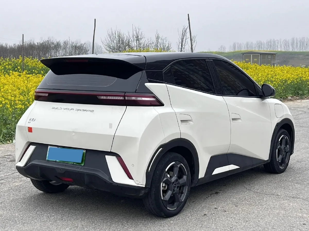 2023 BYD Seagull BEV 30.08KWH,autocango,china used car exporter,china ev exporter,chinese used car exporter,chinese used ev exporter