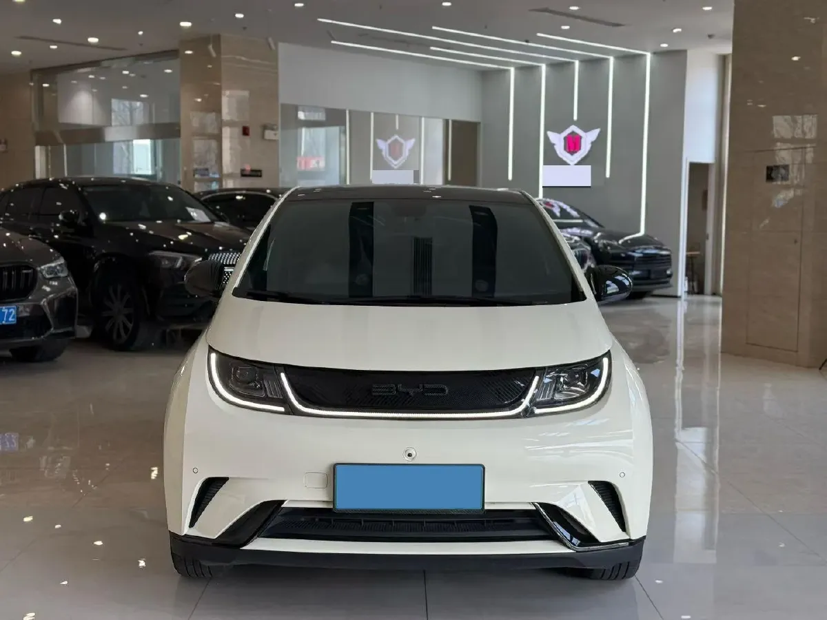 2023 BYD Dolphin BEV 44.928KWH,autocango,china used car exporter,china ev exporter,chinese used car exporter,chinese used ev exporter