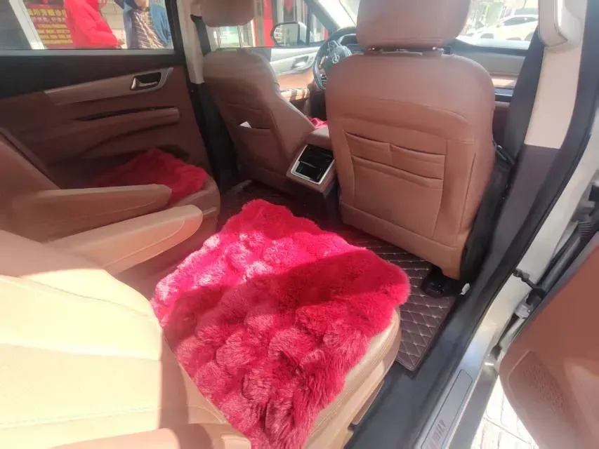 2020 HaiMa 7X 1.6T 195HP L4 6AT,autocango,china used car exporter,china ev exporter,chinese used car exporter,chinese used ev exporter