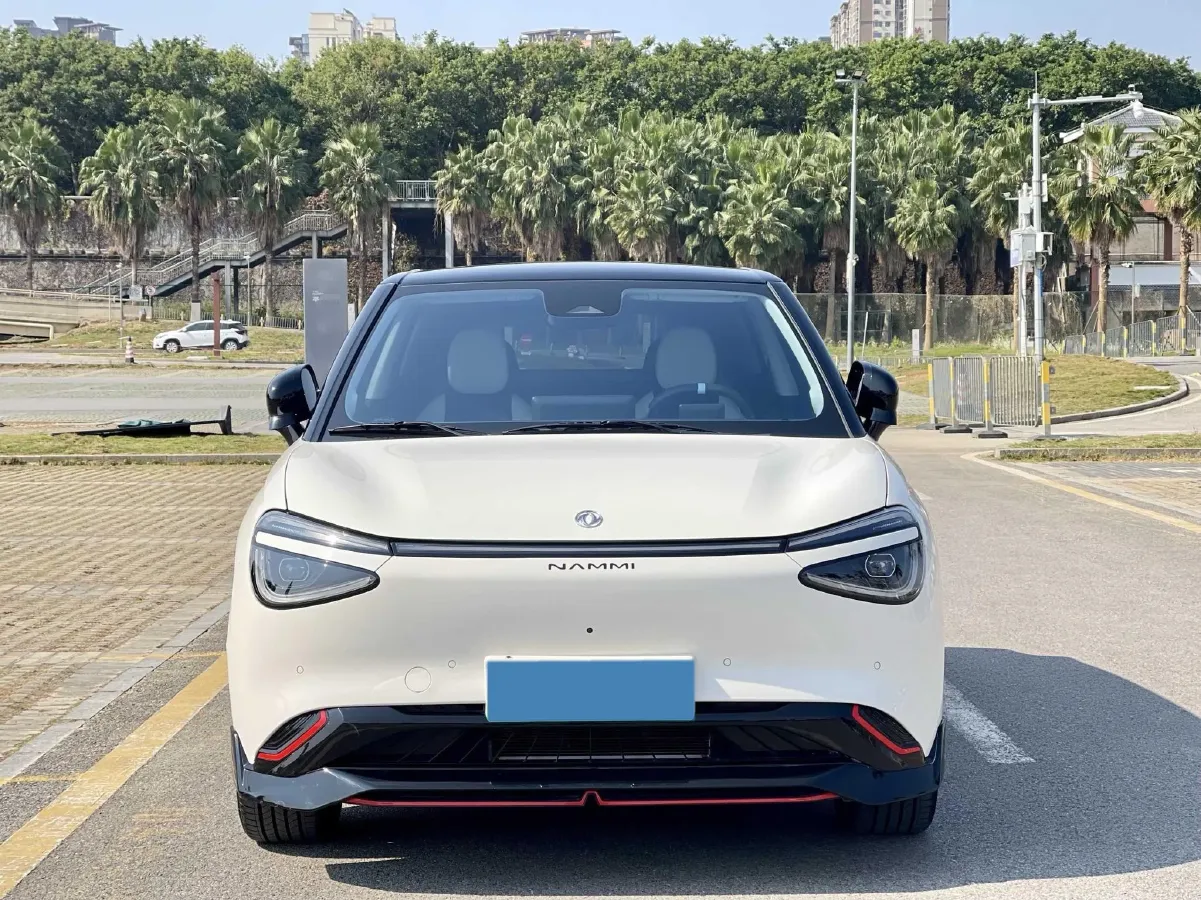 2024 DongFeng eπ 01 BEV 42.3KWH,autocango,china used car exporter,china ev exporter,chinese used car exporter,chinese used ev exporter