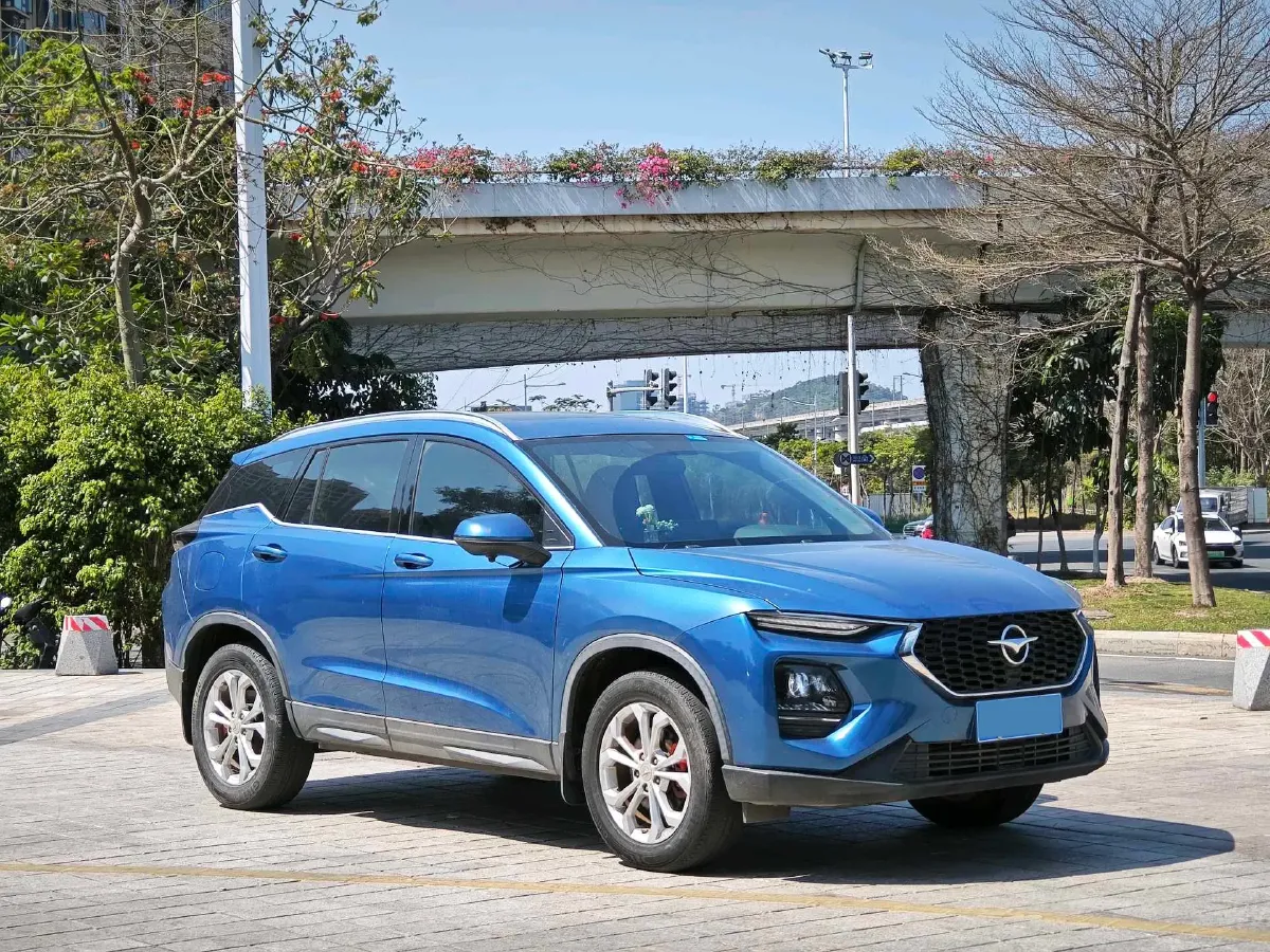 2019 HaiMa 8S 1.6T 195HP L4 6AT,autocango,china used car exporter,china ev exporter,chinese used car exporter,chinese used ev exporter