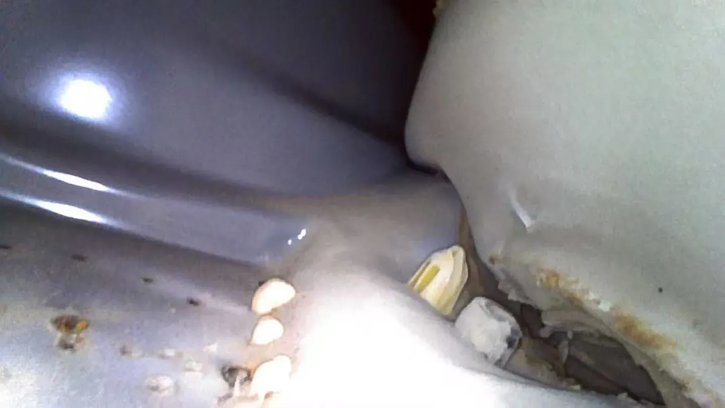 2025 Jetour X70 Plus 1.5T 184HP L4 7DCT,autocango,china used car exporter,china ev exporter,chinese used car exporter,chinese used ev exporter