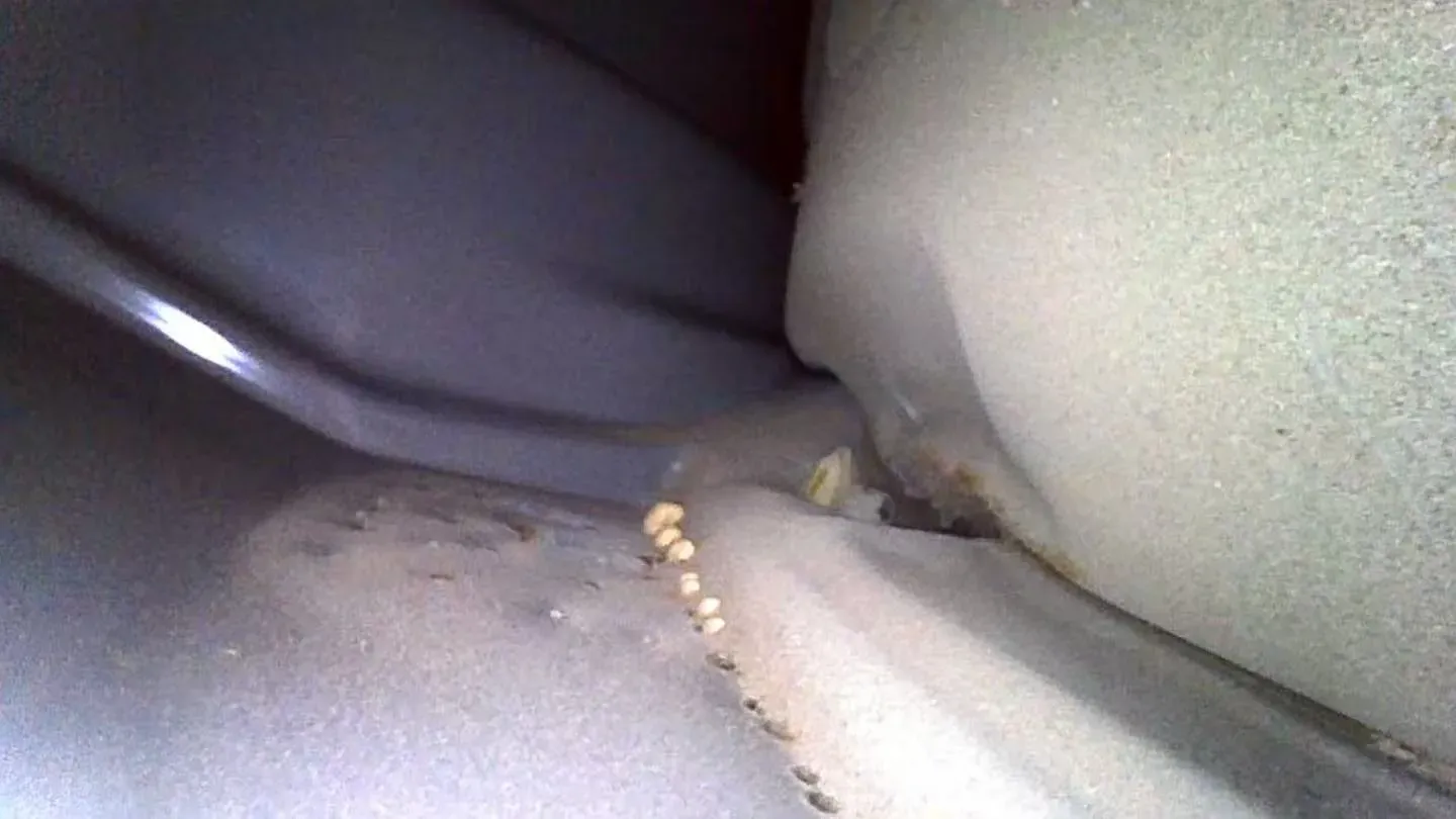 2025 Jetour X70 Plus 1.5T 184HP L4 7DCT,autocango,china used car exporter,china ev exporter,chinese used car exporter,chinese used ev exporter