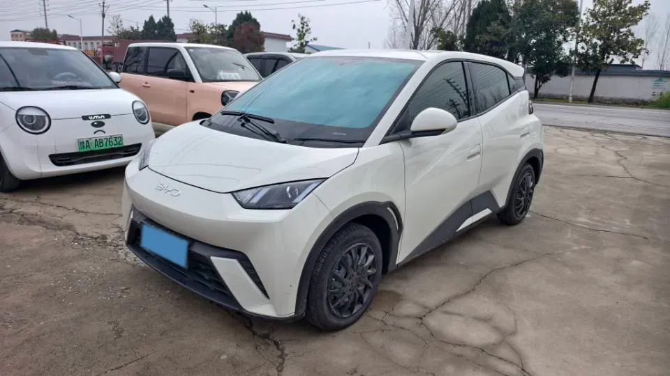 2024 BYD Seagull BEV 30.08KWH,autocango,china used car exporter,china ev exporter,chinese used car exporter,chinese used ev exporter