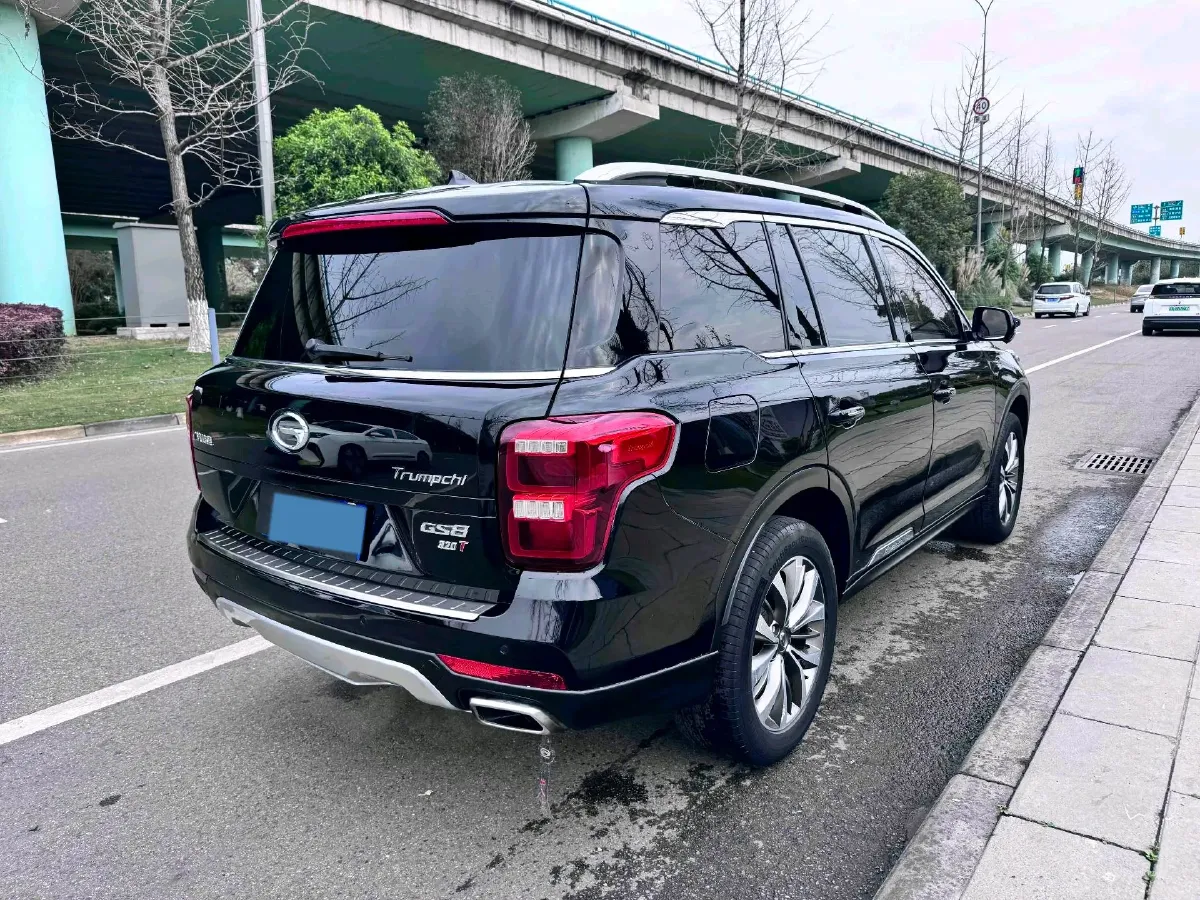 2017 GAC Trumpchi GS8 2.0T 201HP L4 6AT,autocango,china used car exporter,china ev exporter,chinese used car exporter,chinese used ev exporter