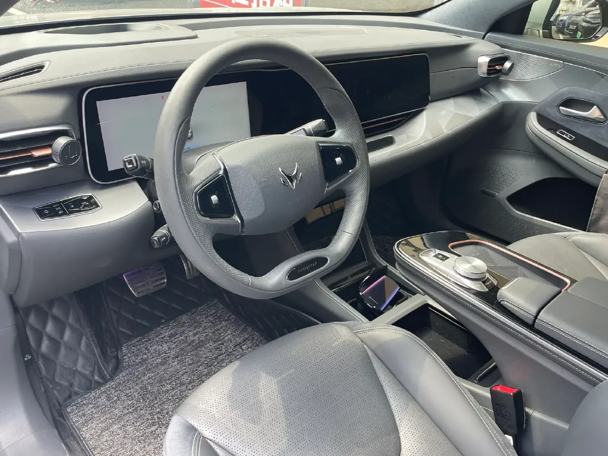 2021 DS 9 1.6T 215HP L4 8AT,autocango,china used car exporter,china ev exporter,chinese used car exporter,chinese used ev exporter