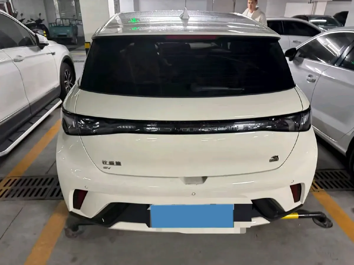 2023 BYD Dolphin BEV 44.928KWH,autocango,china used car exporter,china ev exporter,chinese used car exporter,chinese used ev exporter