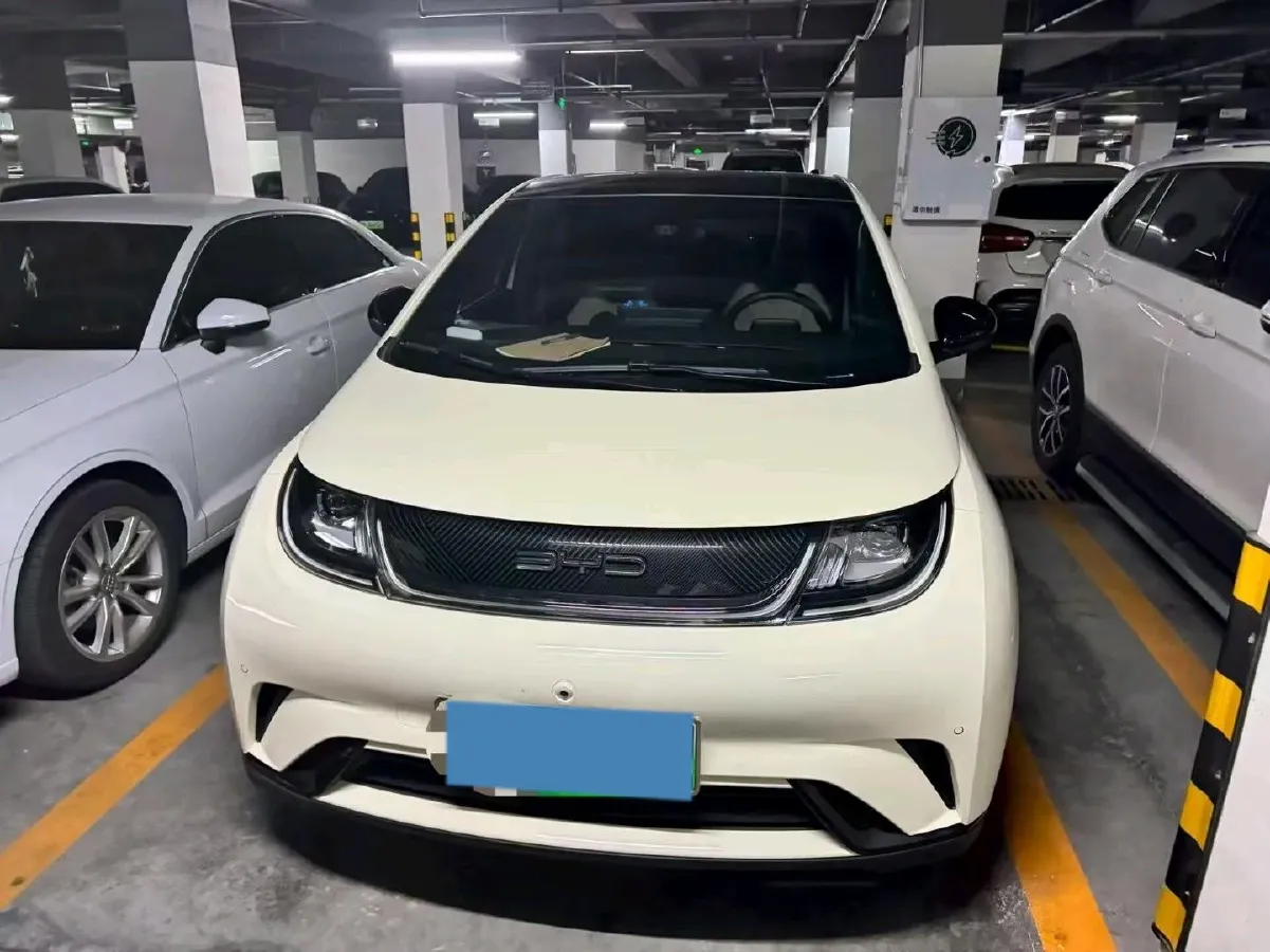 2023 BYD Dolphin BEV 44.928KWH,autocango,china used car exporter,china ev exporter,chinese used car exporter,chinese used ev exporter