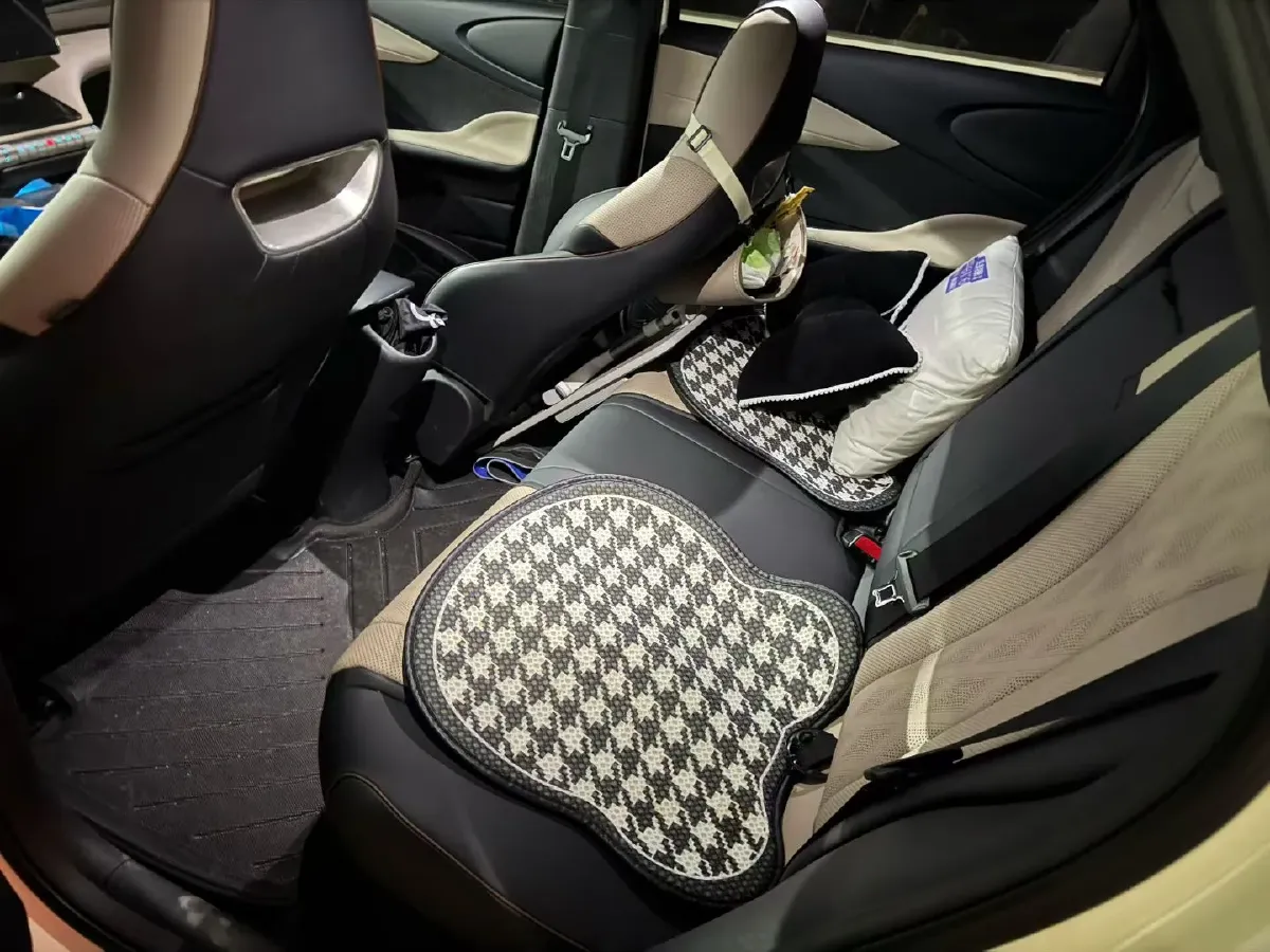 2023 BYD Dolphin BEV 44.928KWH,autocango,china used car exporter,china ev exporter,chinese used car exporter,chinese used ev exporter