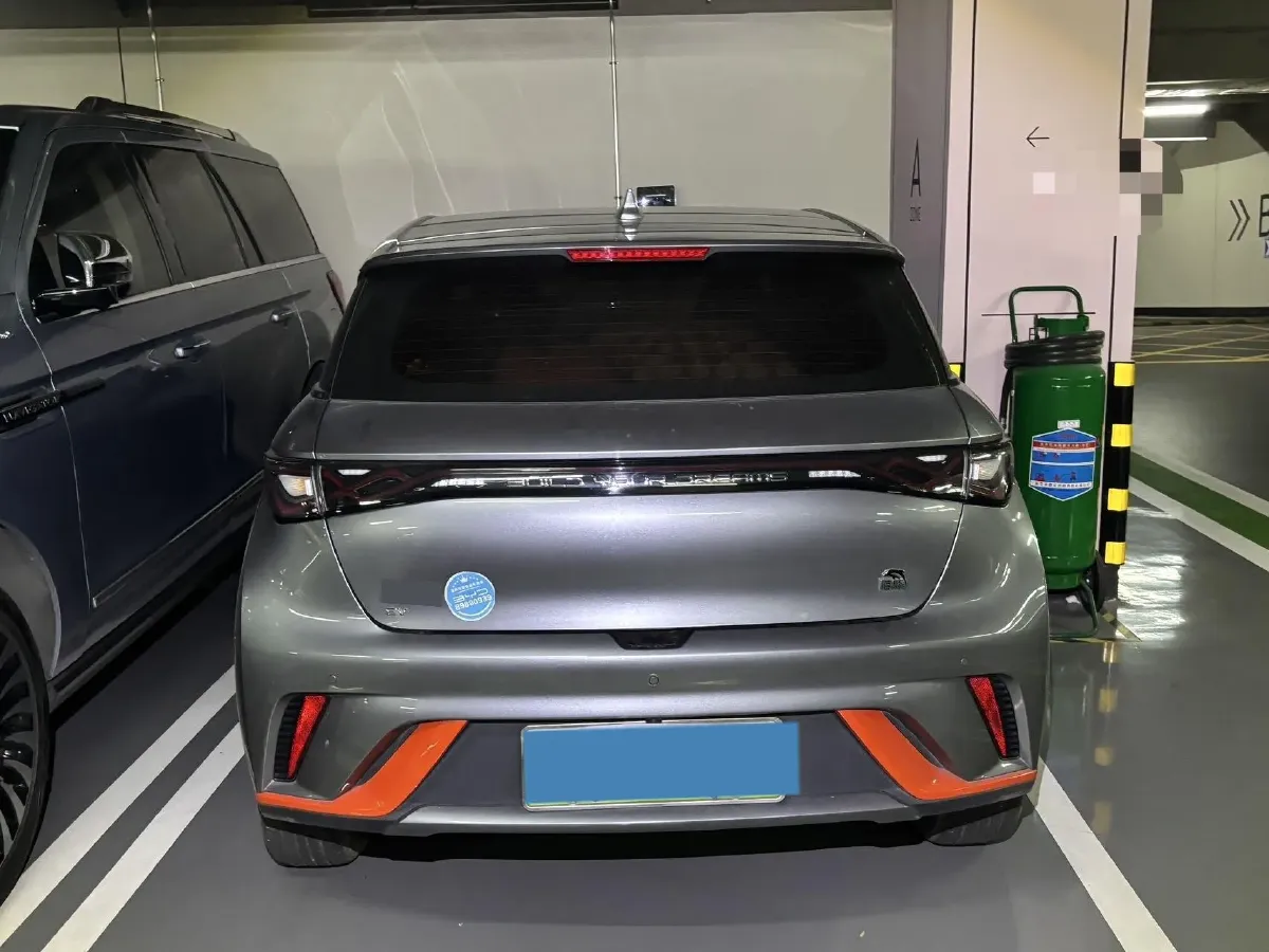 2021 BYD Dolphin BEV 44.9KWH,autocango,china used car exporter,china ev exporter,chinese used car exporter,chinese used ev exporter