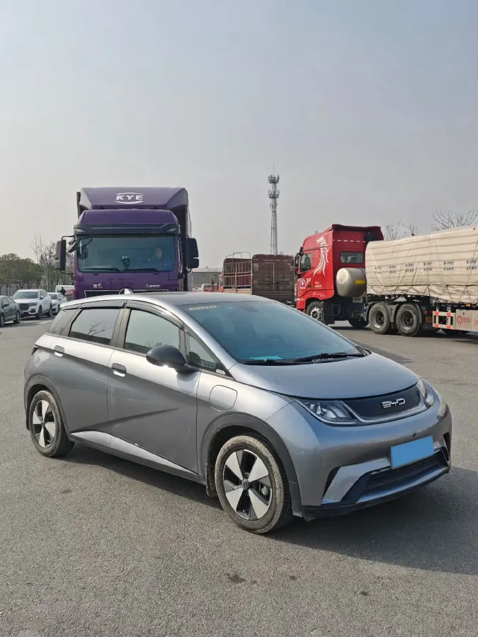 2023 BYD Dolphin BEV 44.928KWH,autocango,china used car exporter,china ev exporter,chinese used car exporter,chinese used ev exporter